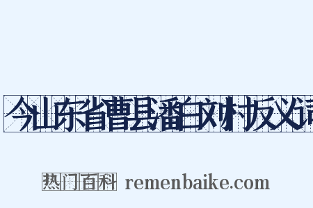 今山东省曹县潘白刘村反义词是什么意思的图片
